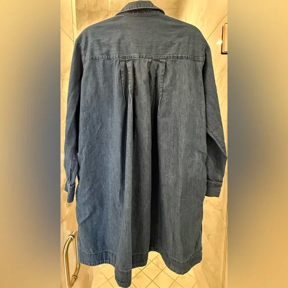 Loft Chambray Mini Dress - Picture 3 of 5